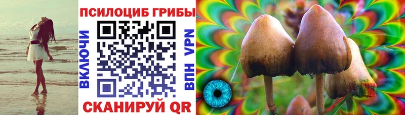 Псилоцибиновые грибы GOLDEN TEACHER МЕГА как зайти Зарайск